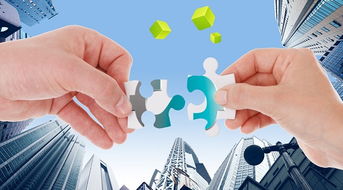 帝纳国际与一冶集团达成战略合作协议 开启2018电子商务全新征程